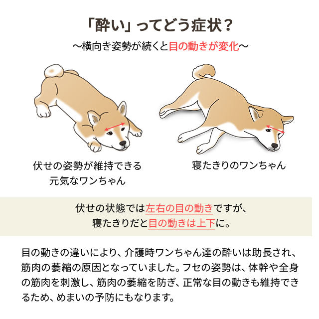 【ワンコnowa掲載】 介護用 ドッグベッド 小型犬 中型犬 シニア ダブルカバー付き 介護用ベッド ペットベッド ドッグベッド 老犬 高齢犬 犬用 ペット用 体位変換 床ずれ防止 誤嚥防止 寝たきり 介護用品 ペット用品