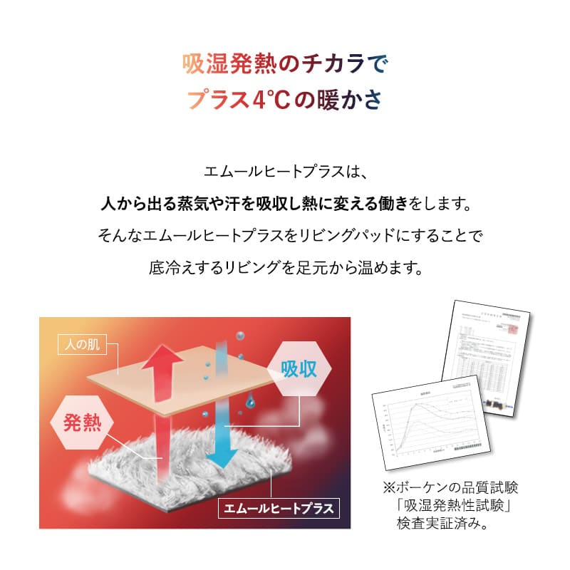 ラグ ラグマット 190×240cm カーペット 絨毯 敷きパッド 極暖 +4℃ 吸湿発熱 あったか 秋 冬 防寒対策 寒さ対策 冷え対策 長方形 約3畳 大判 大きい