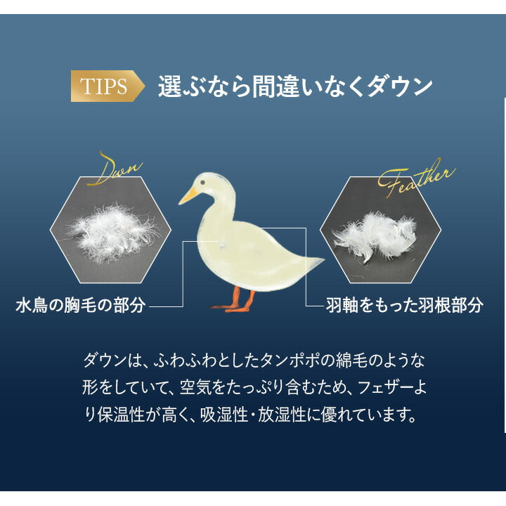 2枚合わせ 羽毛布団 キング 日本製 ロイヤルゴールドラベル ポーランド産ホワイトダックダウン93% 非圧縮 新合繊生地使用 軽量 二枚合わせ 収納ケース付き ループ付き
