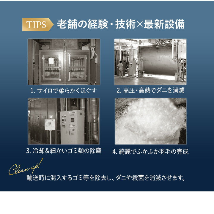 2枚合わせ 羽毛布団 クイーン 日本製 ロイヤルゴールドラベル ポーランド産ホワイトダックダウン93% 非圧縮 新合繊生地使用 軽量 二枚合わせ 収納ケース付き ループ付き