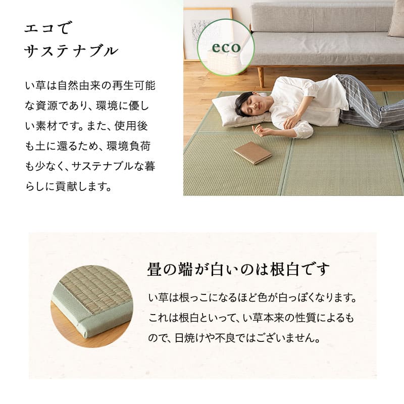 畳マット い草マット 幅70cm 正方形 4枚セット 6枚セット 天然い草 防カビ 消臭 空気洗浄 湿度調整 吸汗 滑り止め付き マット ラグ 敷物 下敷き 軽量 コンパクト 洋室 和室 敷くだけ