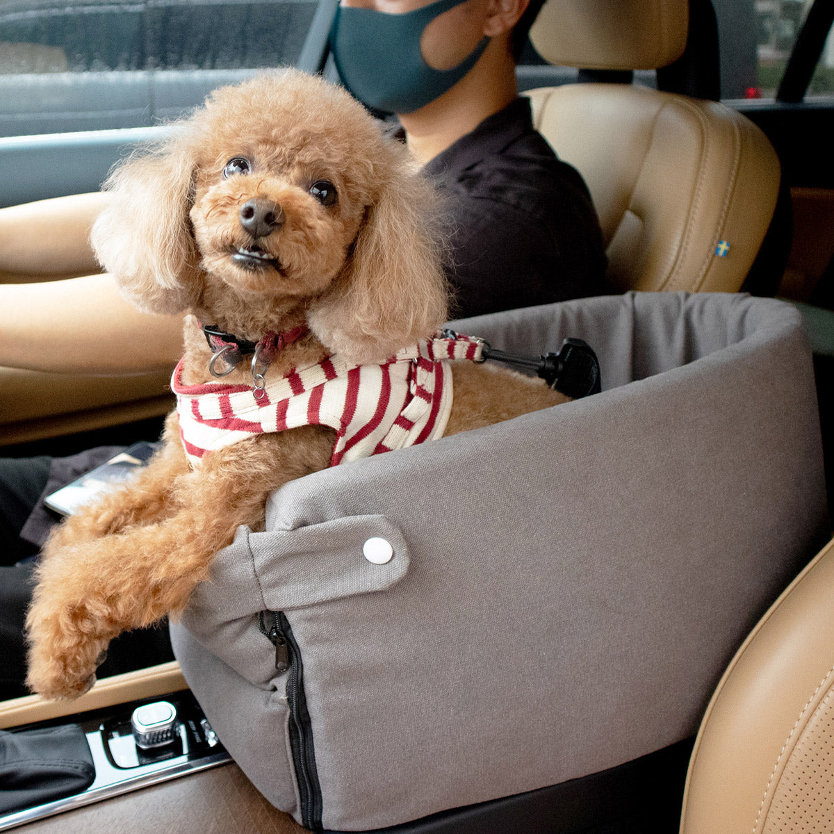運転席と助手席の間用 ドライブベッド 超小型犬 小型犬 クッション付き 飛び出し防止 ドライブボックス 車用ペットシート キャリーバッグ ペットキャリー 犬用 車載 移動 おでかけ