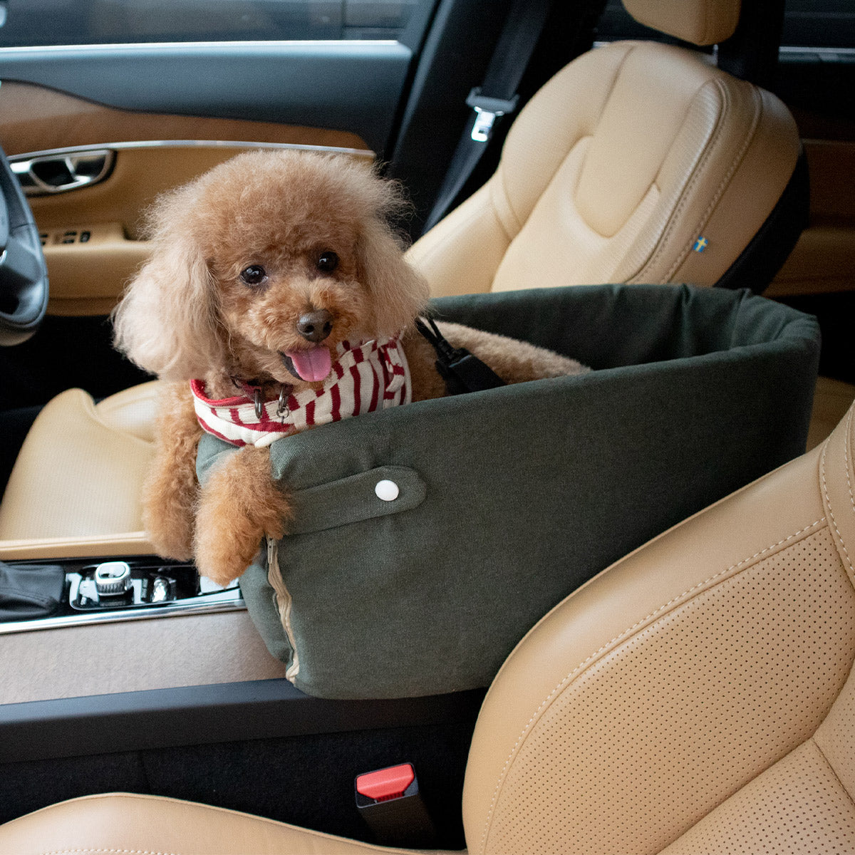運転席と助手席の間用 ドライブベッド 超小型犬 小型犬 クッション付き 飛び出し防止 ドライブボックス 車用ペットシート キャリーバッグ ペットキャリー 犬用 車載 移動 おでかけ
