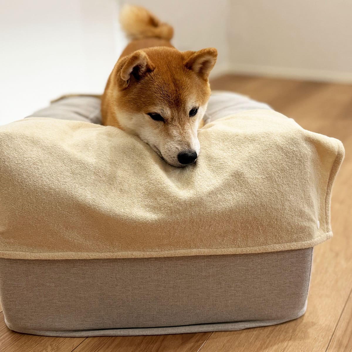 介護用 ドッグベッド 小型犬 中型犬 大型犬 シニア E字型 防水カバー付き 介護用ベッド ペットベッド ドッグベッド 老犬 高齢犬 犬用 ペット用 姿勢維持 床ずれ防止 誤嚥防止 寝たきり 介護用品 ペット用品