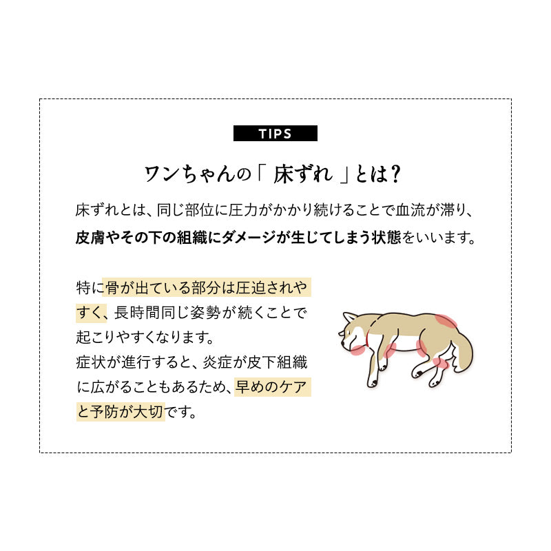 介護用 カウチベッド 犬 猫 ペット シニア L字型 低床 あご乗せ 滑り止め付き Mサイズ Lサイズ XLサイズ 介護用ベッド ペットベッド ドッグベッド キャットベッド 老犬 高齢犬 老猫 高齢猫 超小型犬 小型犬 中型犬 大型犬 介護用品 ペット用品