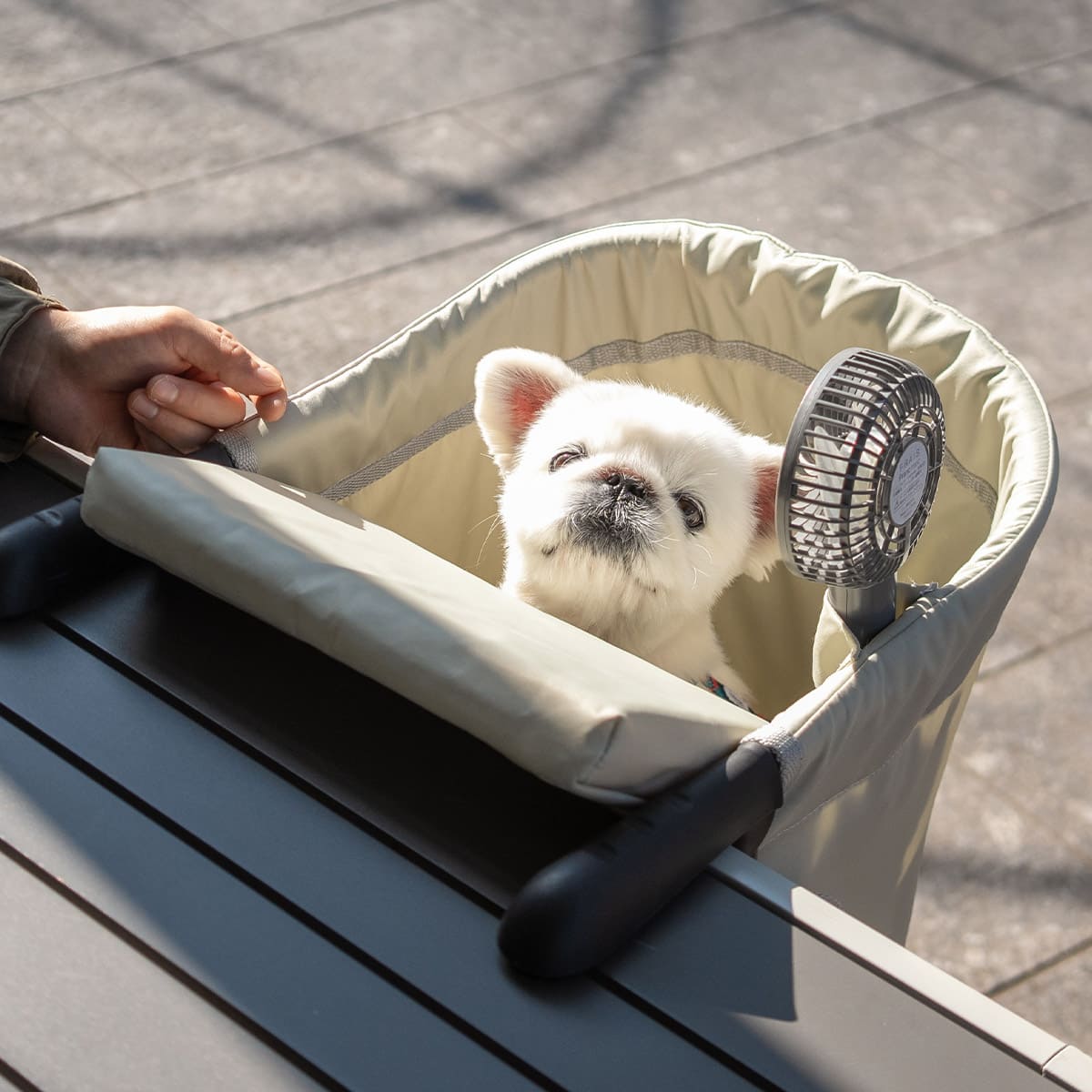 テーブルにつける ベッド わんぽっけ 愛犬用の席 超小型犬 小型犬 飛び出し防止 折りたたみ 撥水 ペットベッド ドッグベッド ペットチェア ドッグチェア テーブルチェア お食事チェア テーブル装着型