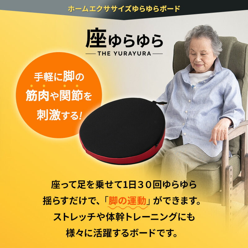 【座ゆらゆら】 バランスボード バランスディスク エクササイズマシン 健康器具 座ったまま トレーニング ストレッチ フィットネス ながら運動 ロコモ対策