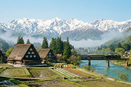 専門家に聞く"睡眠満足度最下位脱出の試み"