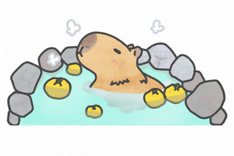 【快眠コラム】暗くて寒い朝の寝起きを改善