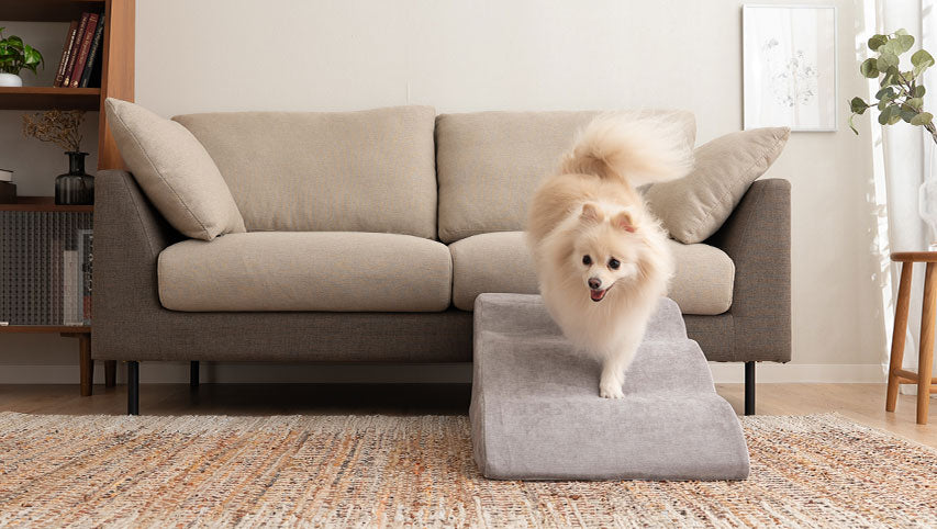 ペット介護予防用品（エムールねどっこ）