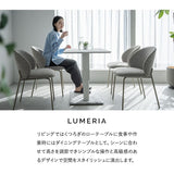 リフティングテーブル センターテーブル 幅120cm ガス圧昇降式 高さ調節可能 昇降式テーブル ダイニングテーブル  昇降式デスク 大理石調 木目調 二本脚 テーブル デスク 食事 仕事 リビング ダイニング