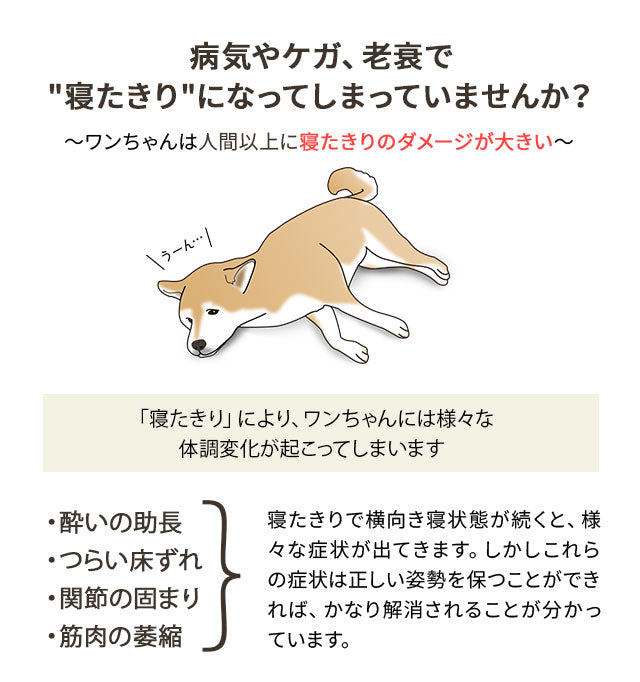 【ワンコnowa掲載】 介護用 ドッグベッド 小型犬 中型犬 シニア ダブルカバー付き 介護用ベッド ペットベッド ドッグベッド 老犬 高齢犬 犬用 ペット用 体位変換 床ずれ防止 誤嚥防止 寝たきり 介護用品 ペット用品