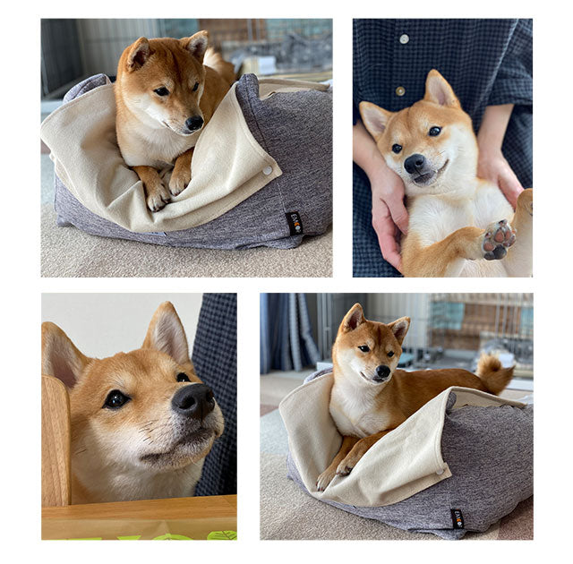 【ワンコnowa掲載】 介護用 ドッグベッド 小型犬 中型犬 シニア ダブルカバー付き 介護用ベッド ペットベッド ドッグベッド 老犬 高齢犬 犬用 ペット用 体位変換 床ずれ防止 誤嚥防止 寝たきり 介護用品 ペット用品