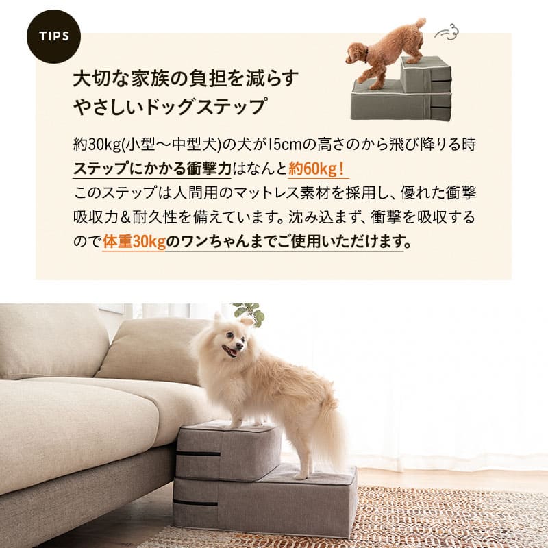 ドッグステップ 犬用ステップ 幅40cm ノーマルタイプ 小型犬 パピー シニア 折りたたみ ステップ スロープ 階段 踏み台 高齢犬 犬用 ペット用 ペットステップ ペットスロープ 段差解消 ケガ防止 介護用品 ペット用品