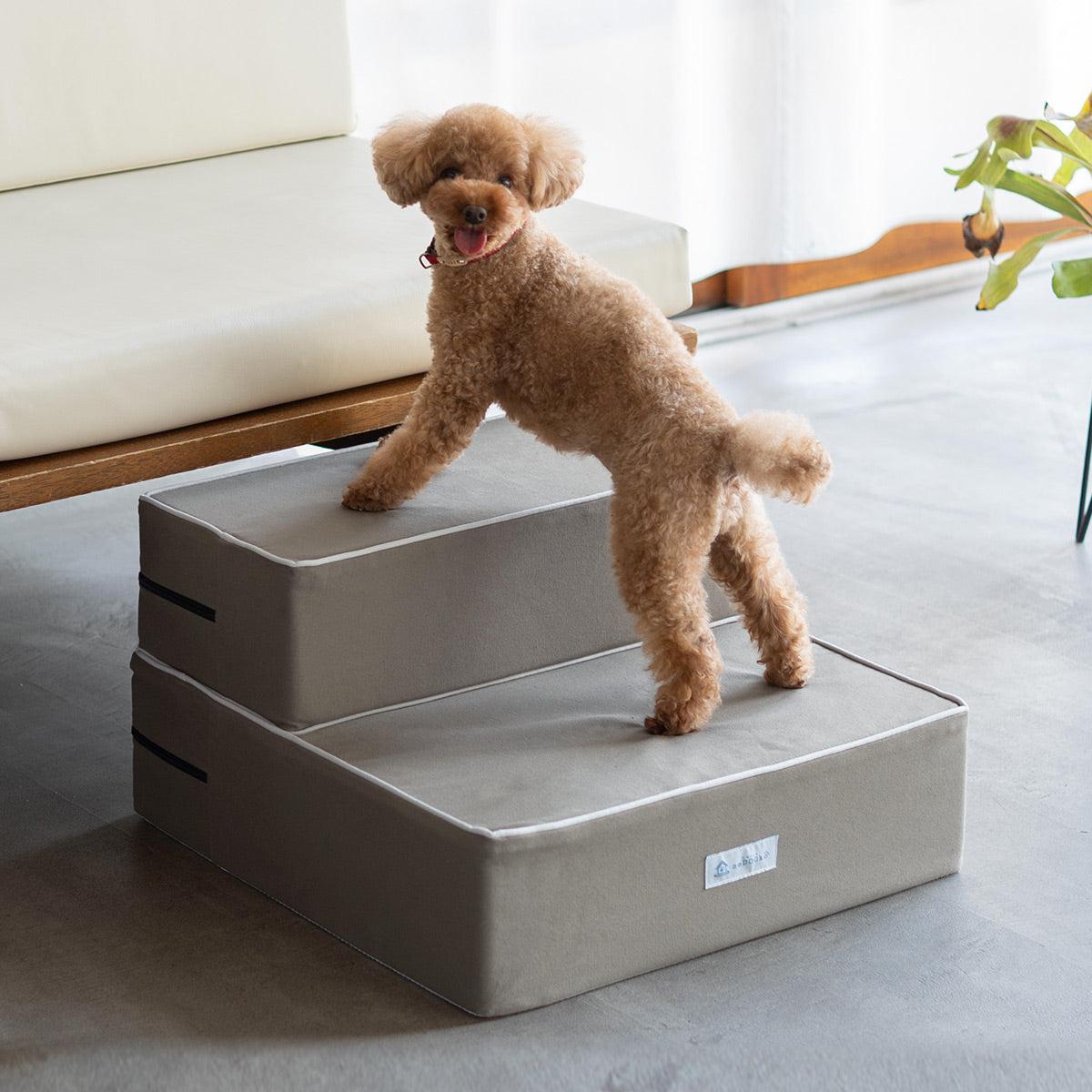 ドッグステップ 犬用ステップ 幅55cm ワイドタイプ 小型犬 パピー シニア 折りたたみ ステップ スロープ 階段 踏み台 高齢犬 犬用 ペット用 ペットステップ ペットスロープ 段差解消 ケガ防止 介護用品 ペット用品