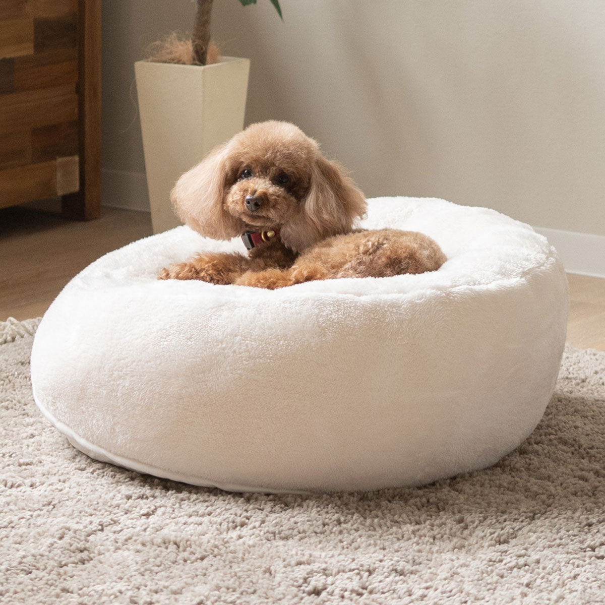 ペットベッド カドラー 小型犬 パピー 成犬 シニア 傾斜 あご乗せ ドッグベッド キャットベッド 犬用ベッド 猫用ベッド 犬用 猫用 ペット用 吸湿発熱 極暖 +4℃ あったか 寒さ対策 防寒対策 ペット用品