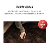 ラグ ラグマット 130×190cm カーペット 絨毯 敷きパッド 極暖 +4℃ 吸湿発熱 あったか 秋 冬 防寒対策 寒さ対策 冷え対策 長方形 約1.5畳 コンパクト