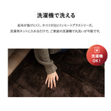 ラグ ラグマット 190×190cm カーペット 絨毯 敷きパッド 極暖 +4℃ 吸湿発熱 あったか 秋 冬 防寒対策 寒さ対策 冷え対策 正方形 約2畳