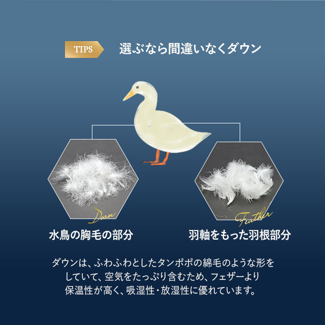 羽毛布団 クイーン 日本製 ロイヤルゴールドラベル ポーランド産ホワイトダックダウン93％ 非圧縮 新合繊生地使用 軽量 収納ケース付き ループ付き