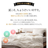 羽毛肌掛け布団 クイーン 日本製 ロイヤルゴールドラベル ダウンケット ポーランド産ホワイトダックダウン93％ 非圧縮 ループ付き 収納ケース付き
