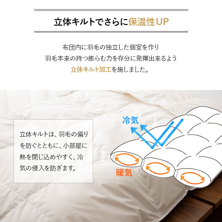 羽毛肌掛け布団 クイーン 日本製 ロイヤルゴールドラベル ダウンケット ポーランド産ホワイトダックダウン93％ 非圧縮 ループ付き 収納ケース付き
