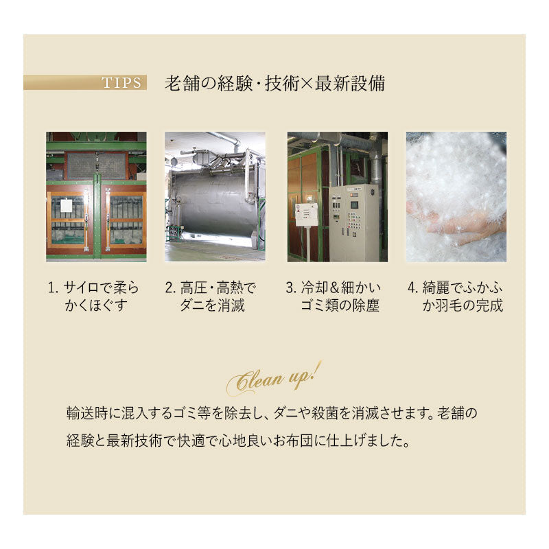 羽毛布団 クイーン 日本製 プレミアムゴールドラベル ポーランド産ホワイトグースダウン95％ 非圧縮 ハイブリッド新合繊生地使用 軽量 収納ケース付き ループ付き
