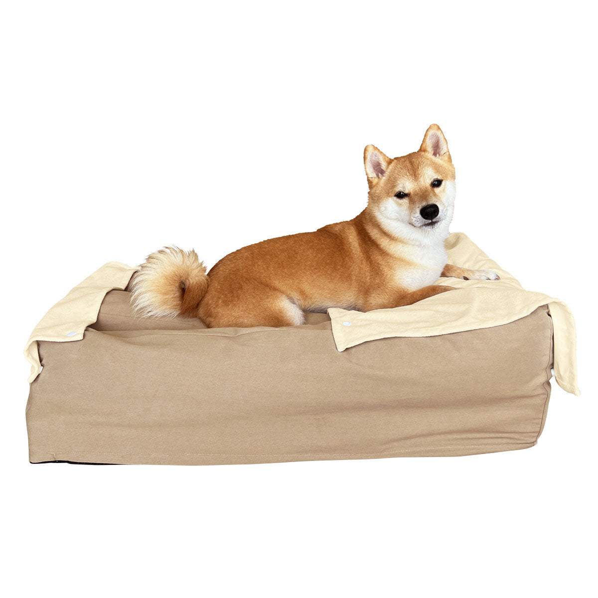 【ワンコnowa掲載】 介護用 ドッグベッド 小型犬 中型犬 シニア E字型 防水カバー付き 介護用ベッド ペットベッド ドッグベッド 老犬 高齢犬 犬用 ペット用 姿勢維持 床ずれ防止 誤嚥防止 寝たきり 介護用品 ペット用品