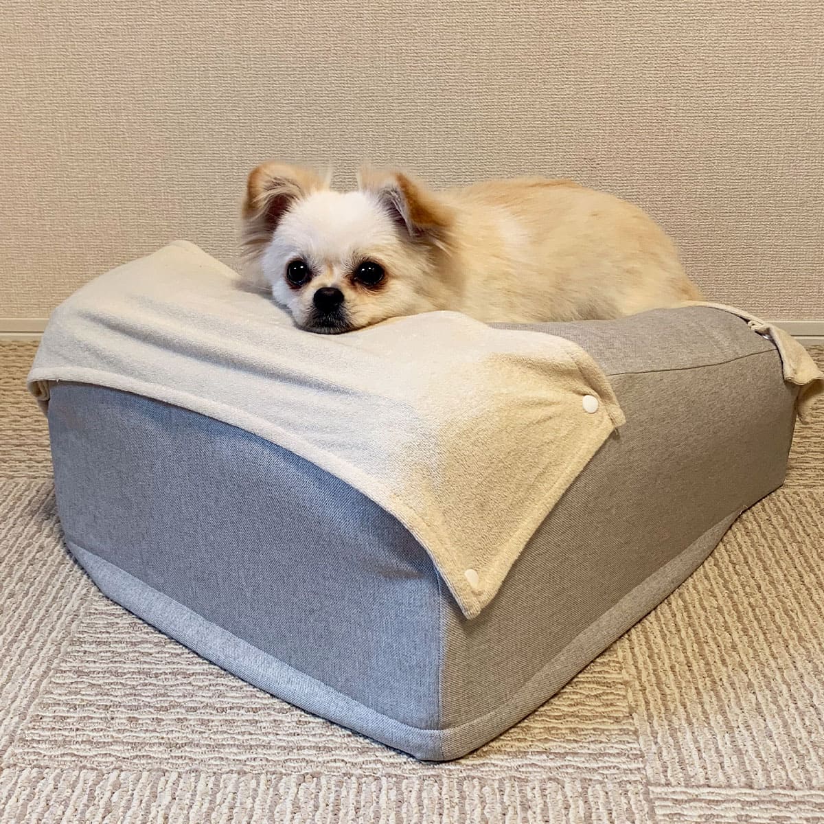 介護用 ドッグベッド 小型犬 中型犬 大型犬 シニア E字型 防水カバー付き 介護用ベッド ペットベッド ドッグベッド 老犬 高齢犬 犬用 ペット用 姿勢維持 床ずれ防止 誤嚥防止 寝たきり 介護用品 ペット用品