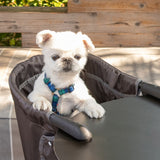 テーブルにつける ベッド わんぽっけ 愛犬用の席 超小型犬 小型犬 飛び出し防止 折りたたみ 撥水 ペットベッド ドッグベッド ペットチェア ドッグチェア テーブルチェア お食事チェア テーブル装着型