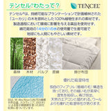 お昼寝布団5点セット はらぺこあおむし 日本製 綿100％ ベビー用 （掛け布団・敷き布団・掛け布団カバー・敷き布団カバー・収納バッグ）