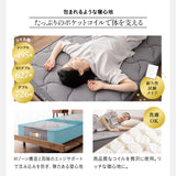 居間になる畳ベッド 選べるマットレス 2点セット ( #101 ジャストフレーム キャビネットタイプ ) シングル