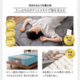 居間になる畳ベッド 選べるマットレス 2点セット( #102 ステージフレーム キャビネットタイプ ) ダブル