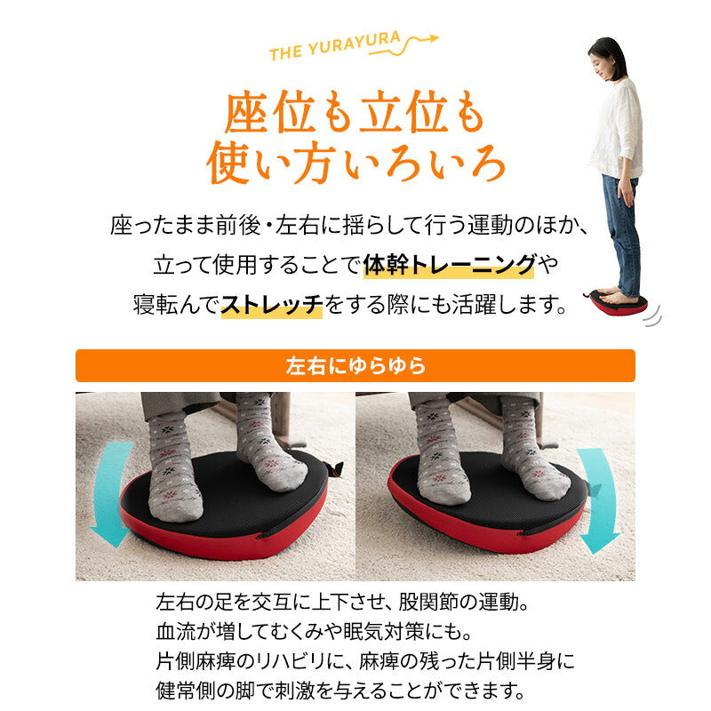 【座ゆらゆら】 バランスボード バランスディスク エクササイズマシン 健康器具 座ったまま トレーニング ストレッチ フィットネス ながら運動 ロコモ対策