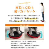 【座ゆらゆら】 バランスボード バランスディスク エクササイズマシン 健康器具 座ったまま トレーニング ストレッチ フィットネス ながら運動 ロコモ対策